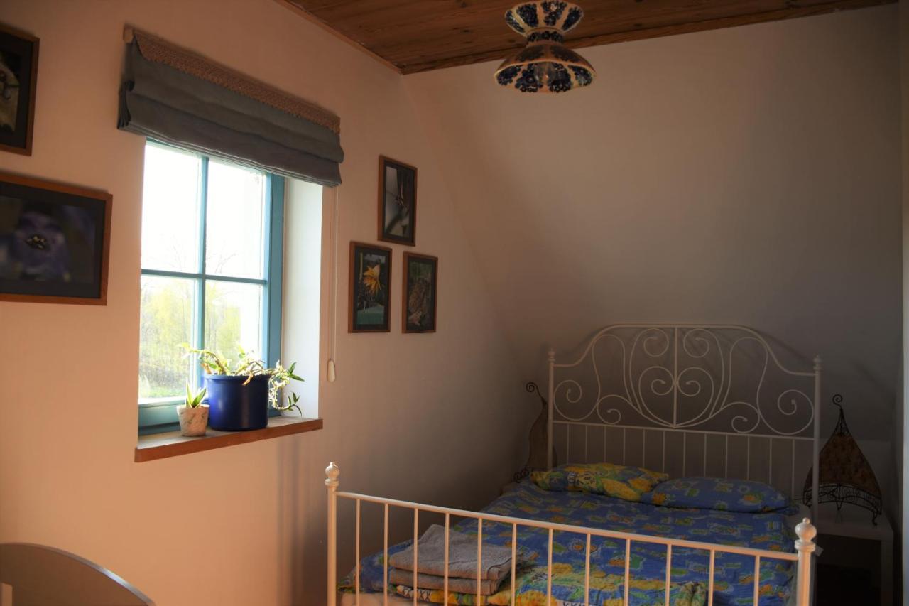 Dom Na Szumiacych Drzew Villa Debina  ภายนอก รูปภาพ