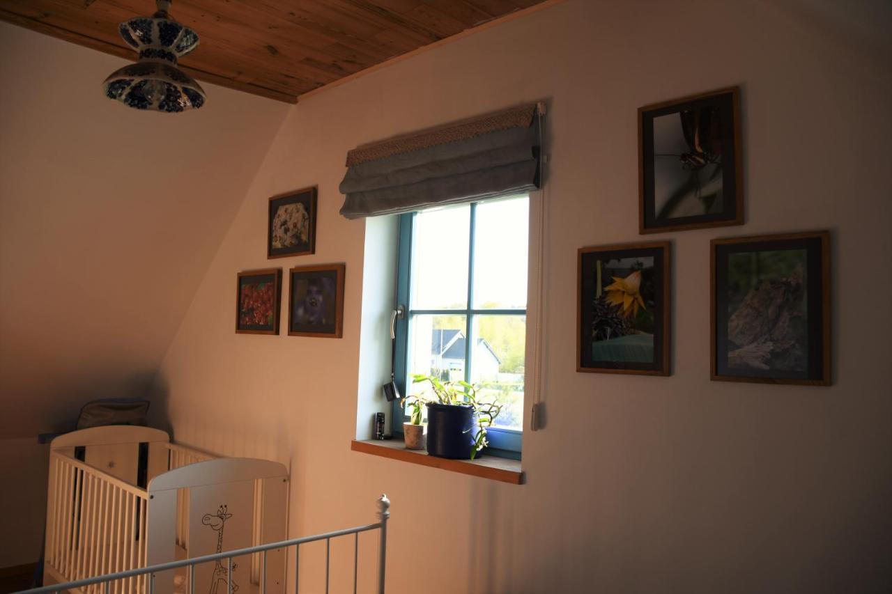 Dom Na Szumiacych Drzew Villa Debina  ภายนอก รูปภาพ